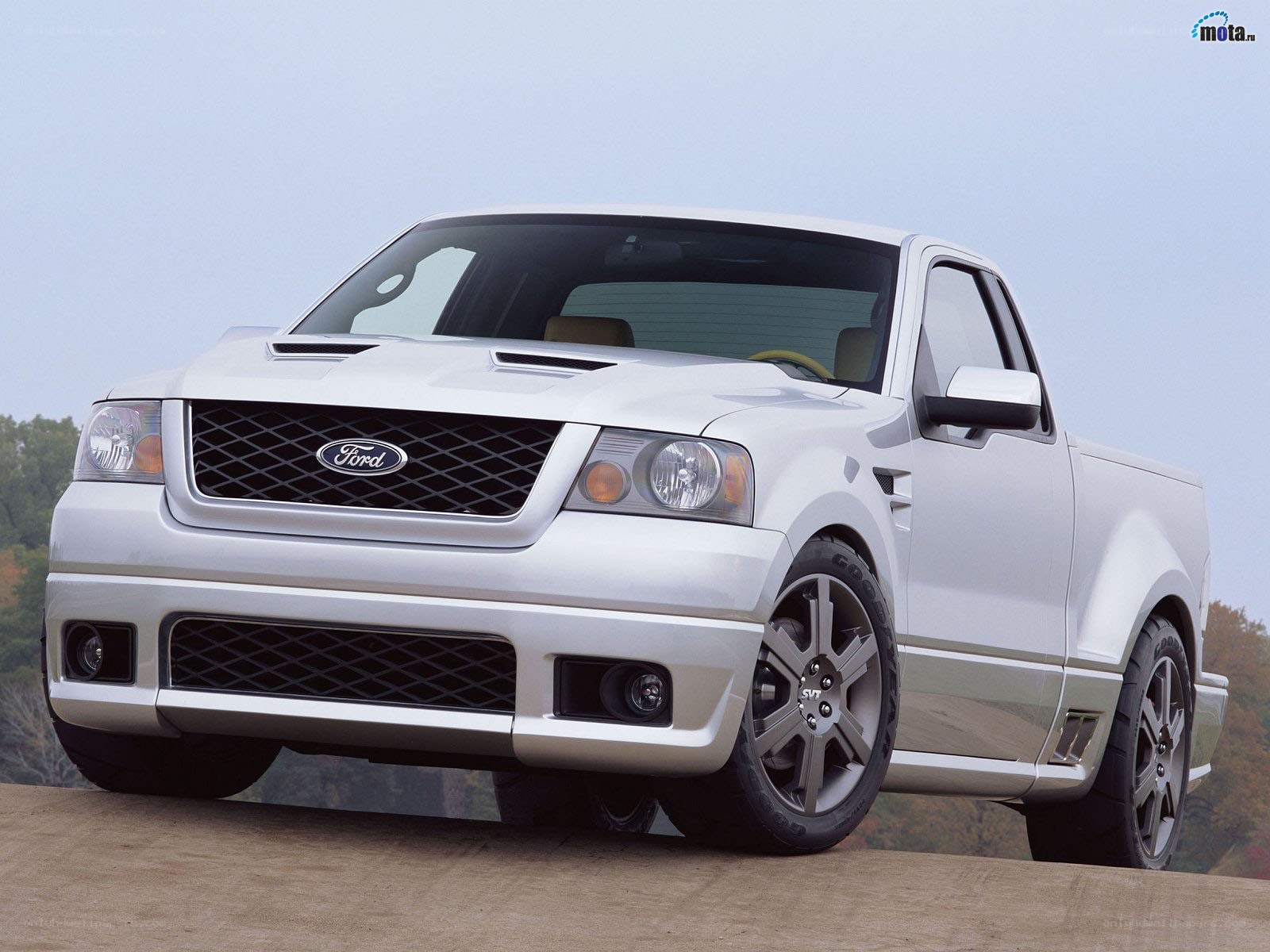 White Ford pickup truck
