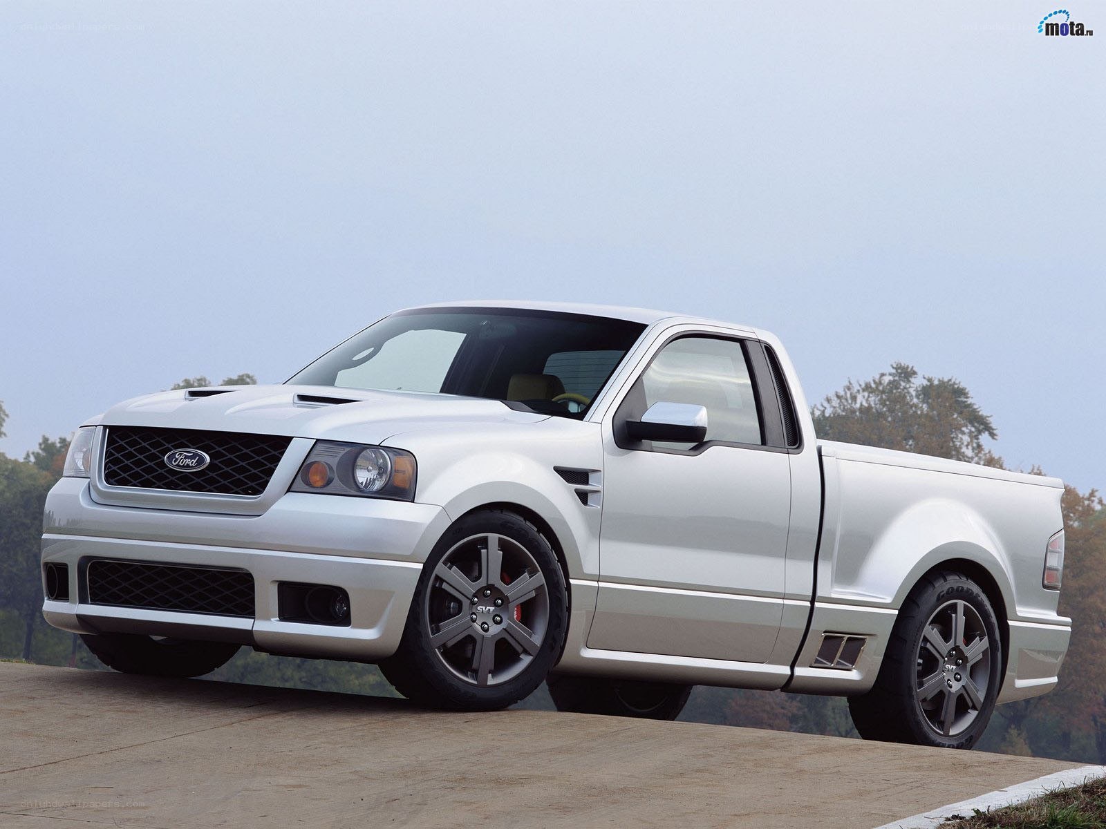 white Ford pickup truck