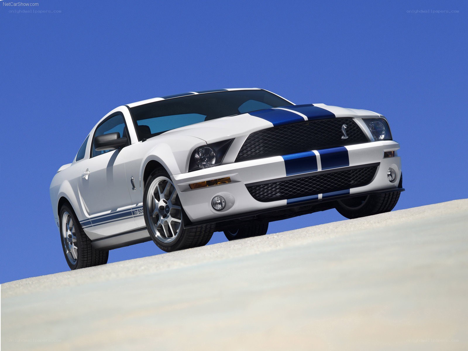white ford shelby gt500