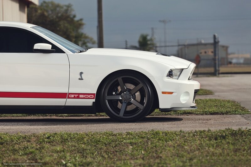 White Ford Shelby Gt500 — Calm, Afternoon