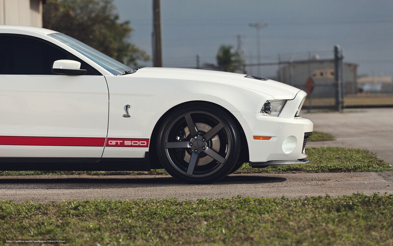 White Ford Shelby Gt500 — Calm