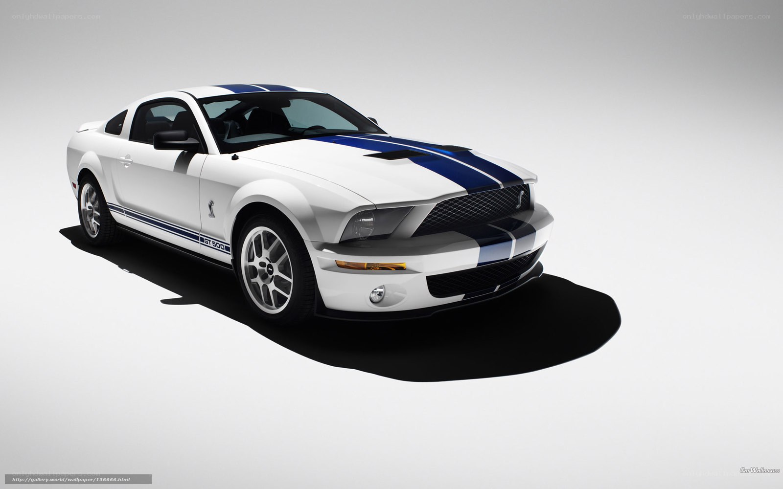 white ford shelby gt500
