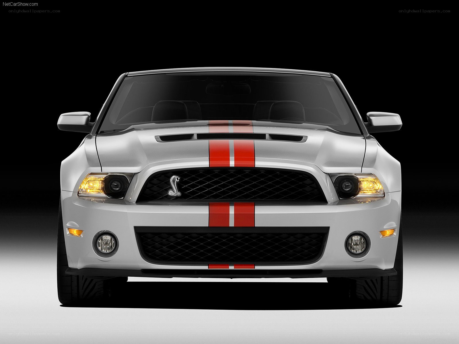 white ford shelby mustang