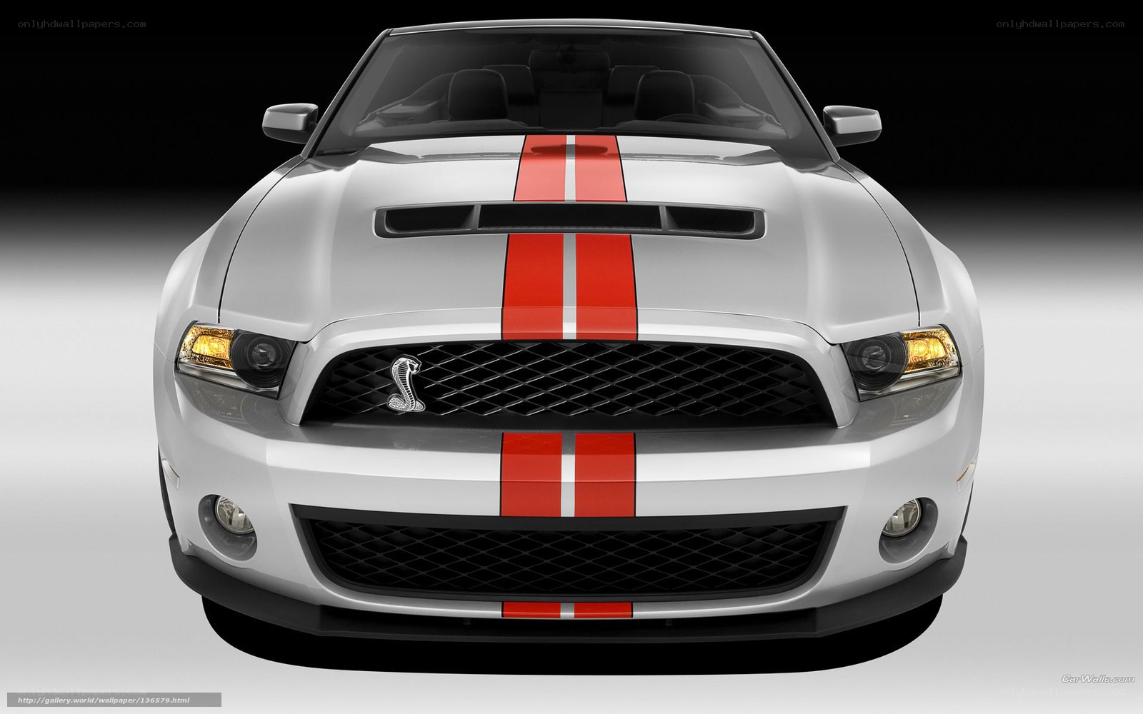 White Ford Shelby Mustang