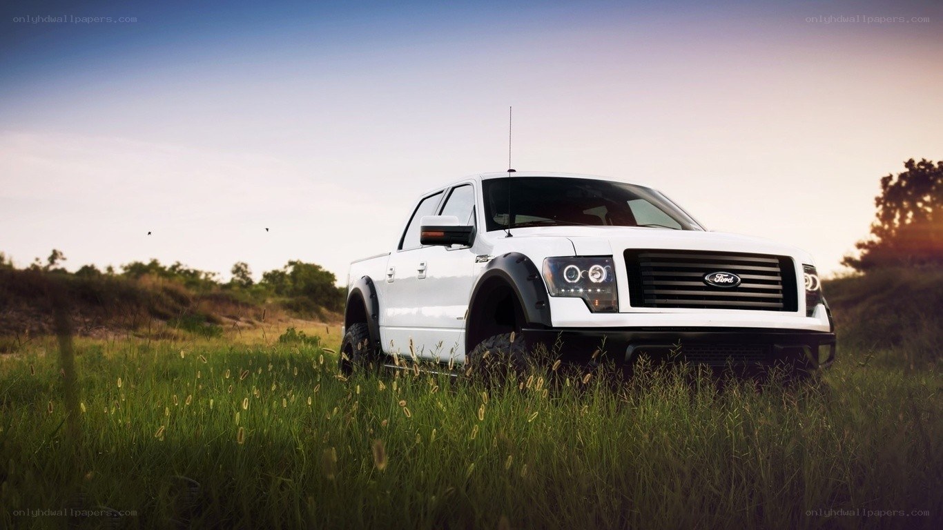 White Ford truck in a field