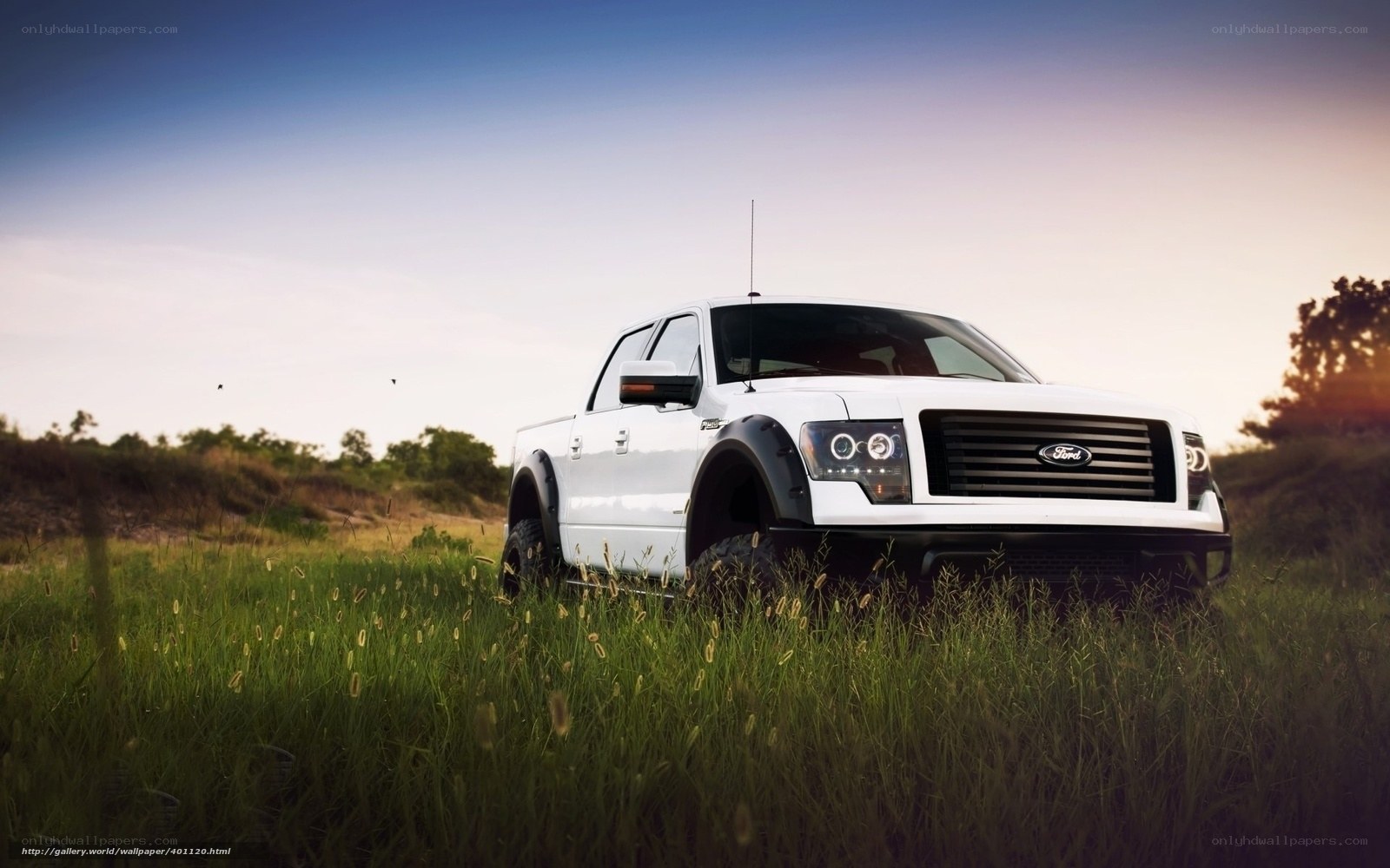 White Ford truck in grass field
