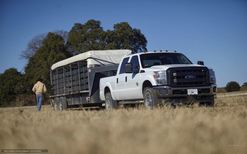 White Ford truck with livestock trailer