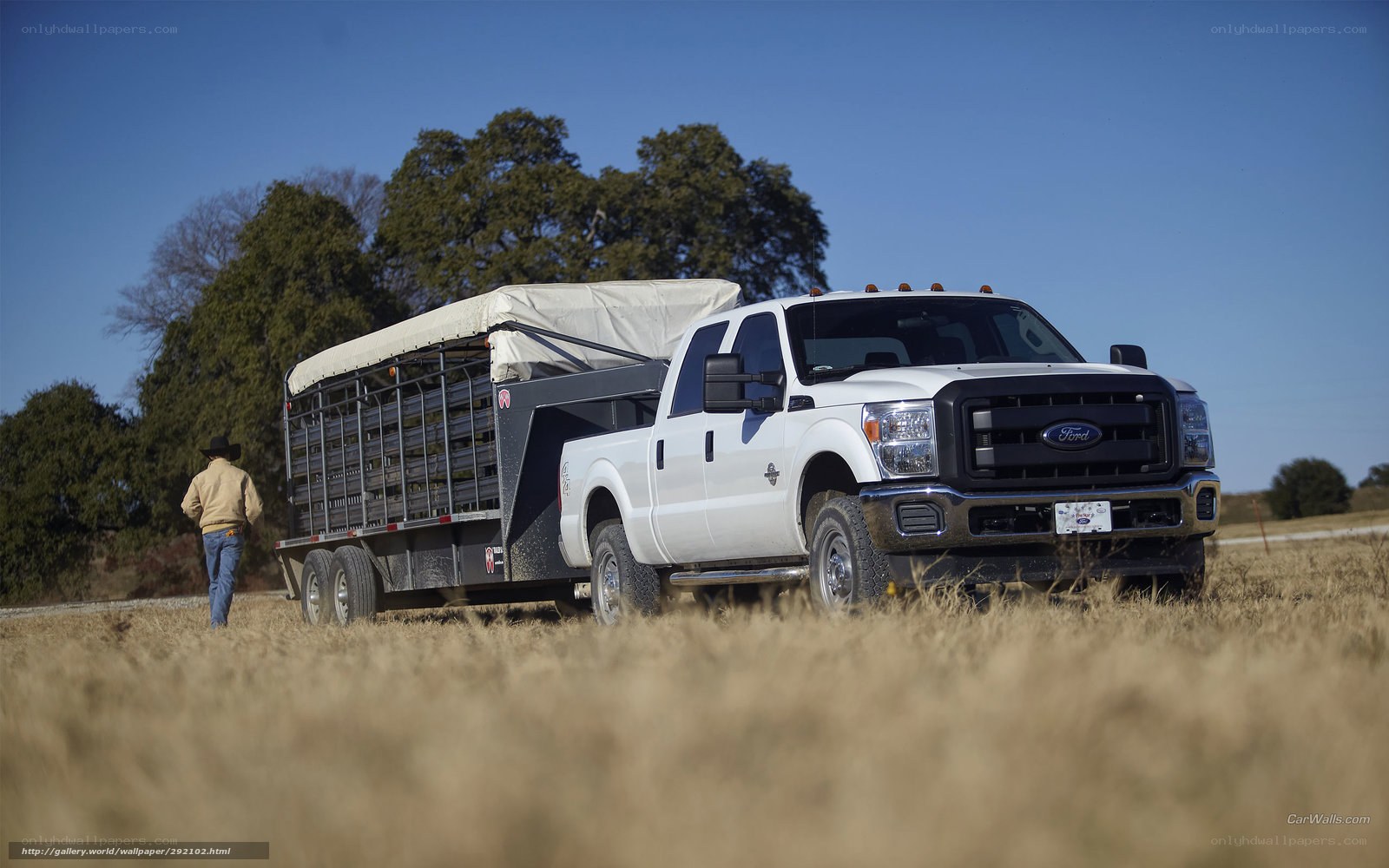 White Ford truck with livestock trailer