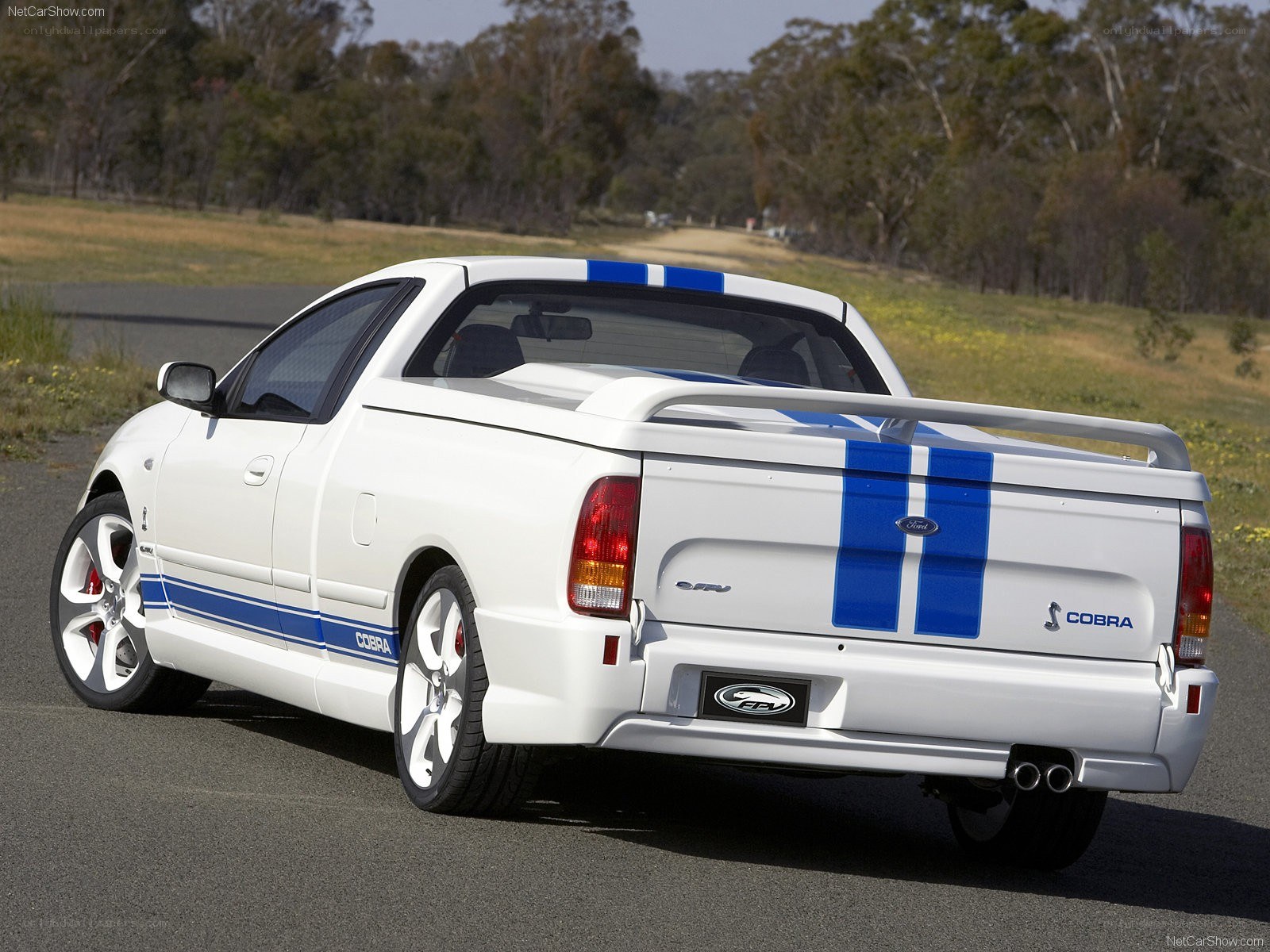 white ford ute with blue stripes