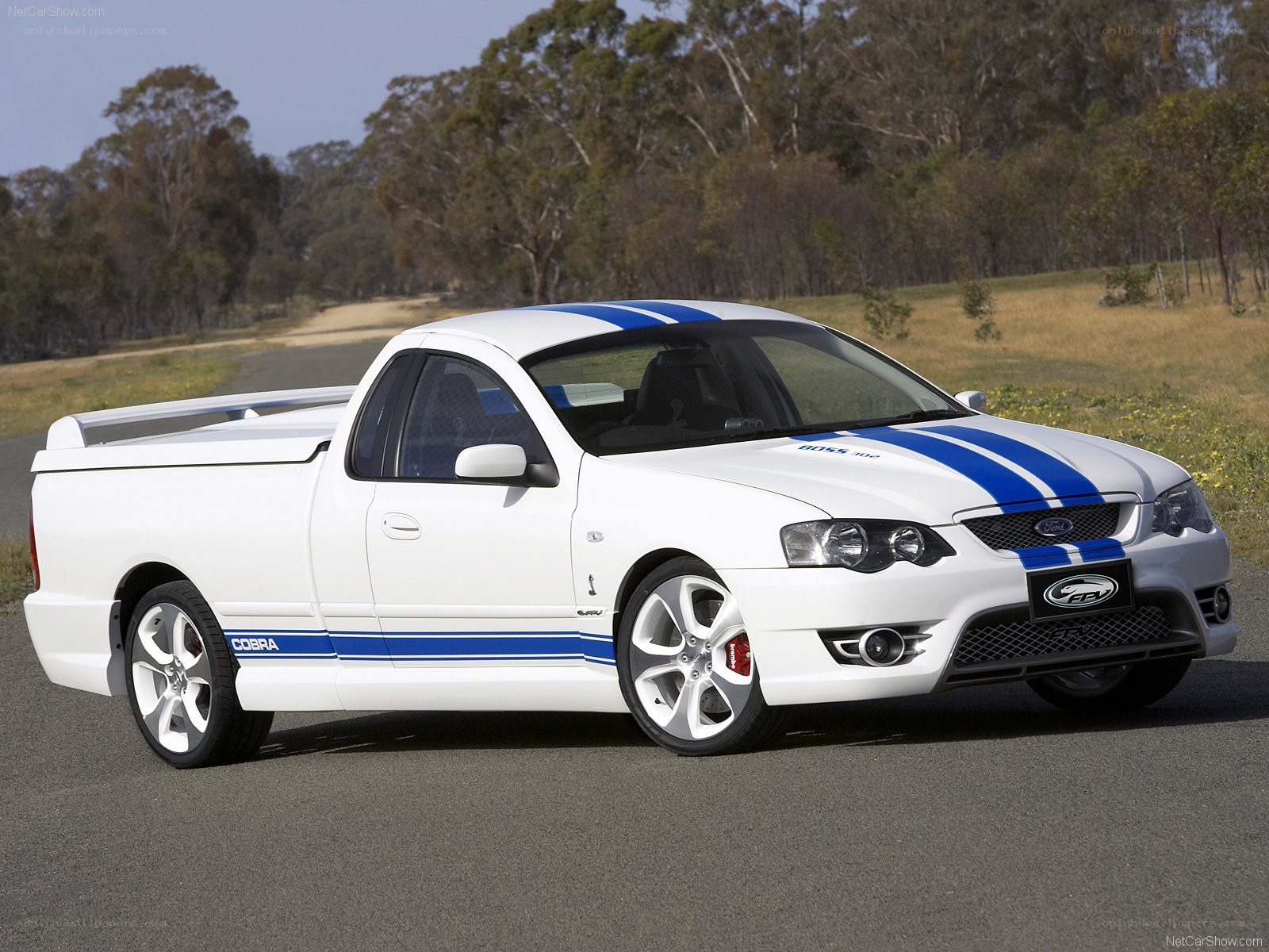 white ford ute with blue stripes