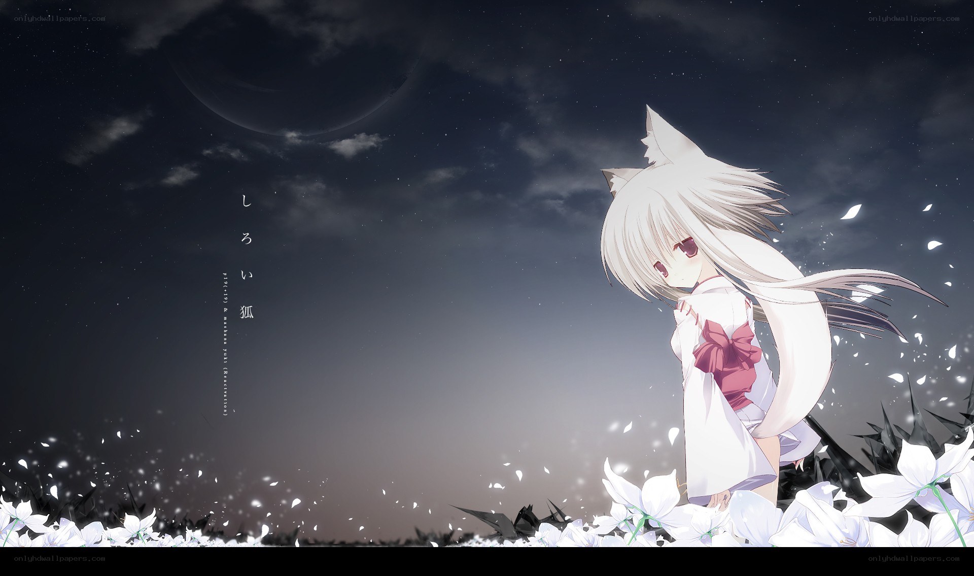 white fox girl at night