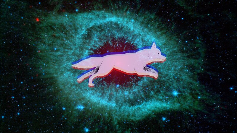White Fox in Space