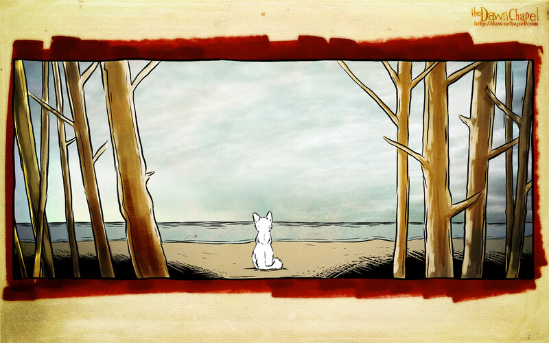 White fox on a beach
