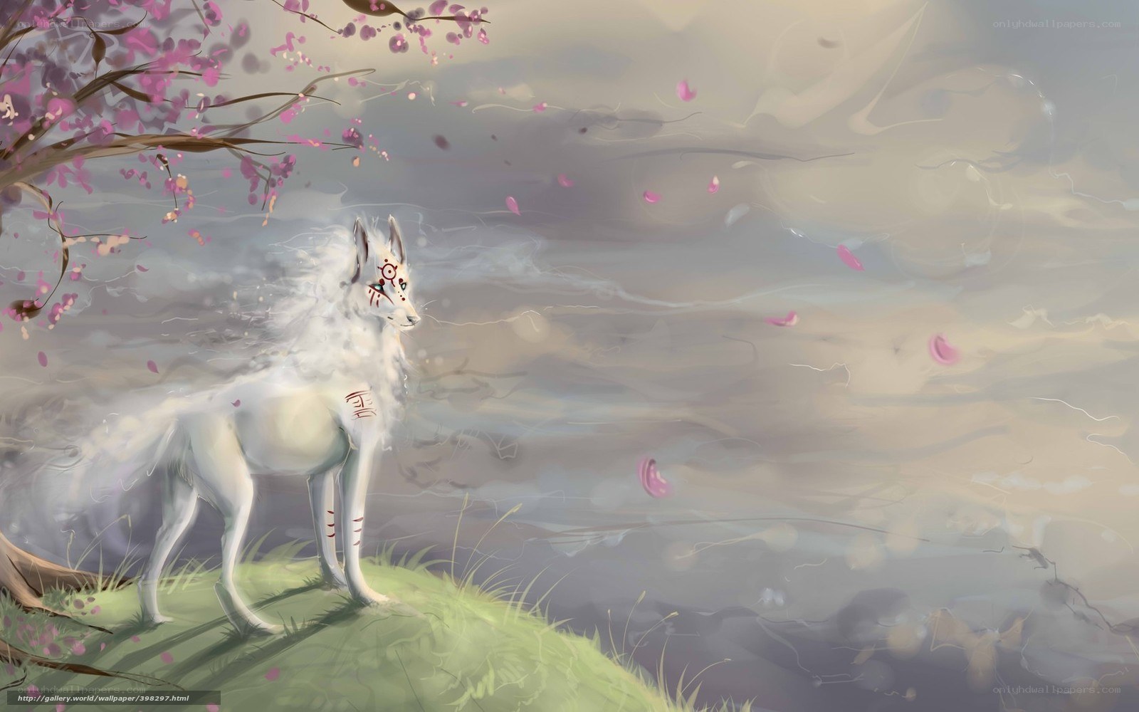 White fox under cherry blossoms
