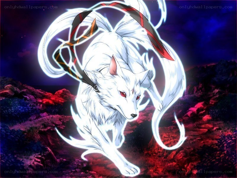 white fox with red eyes