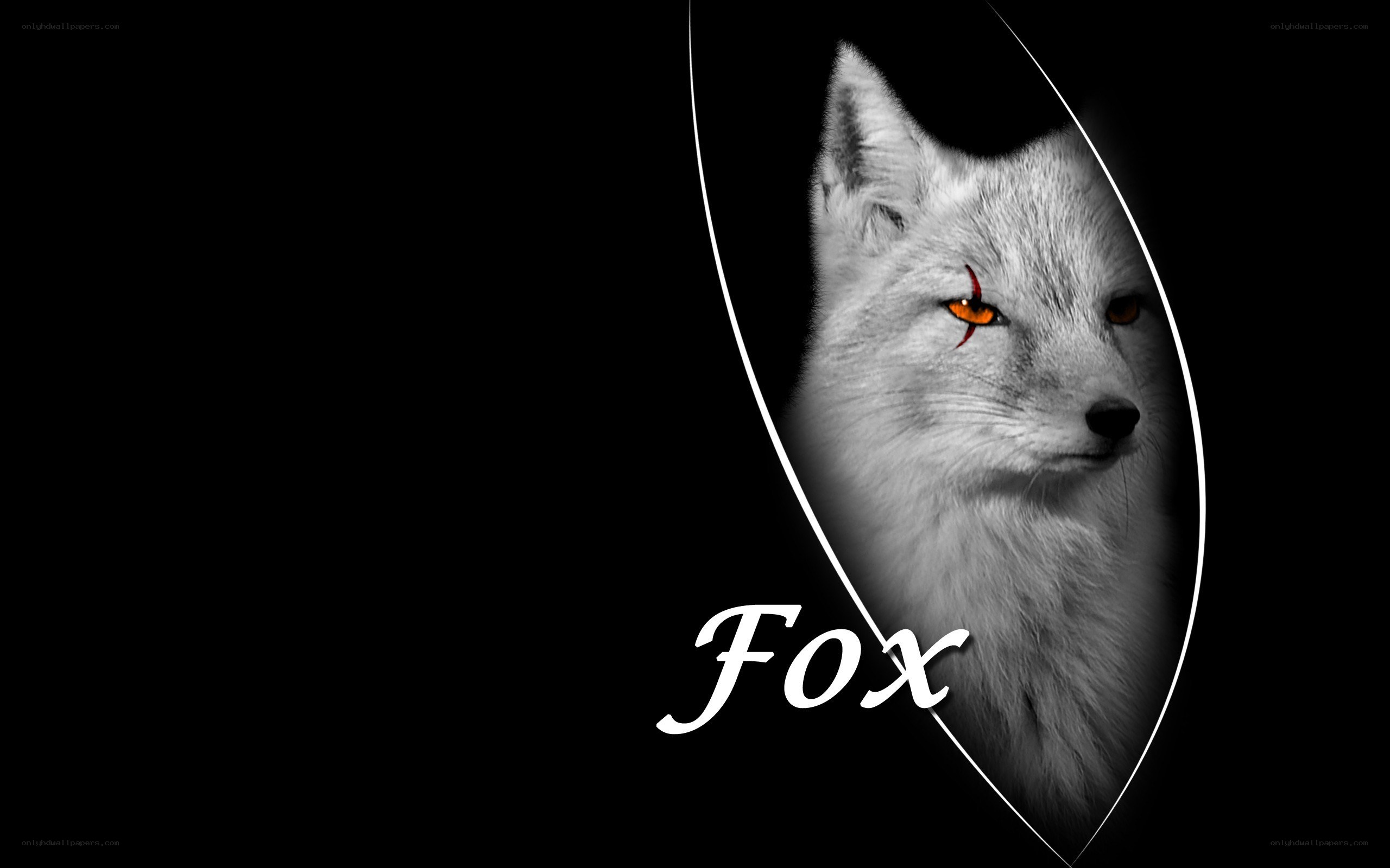 white fox with red eyes