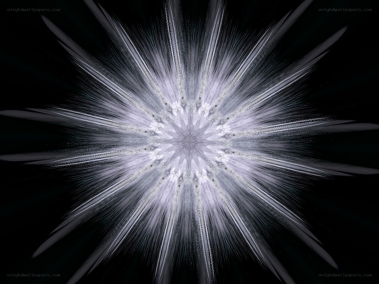 white fractal burst pattern