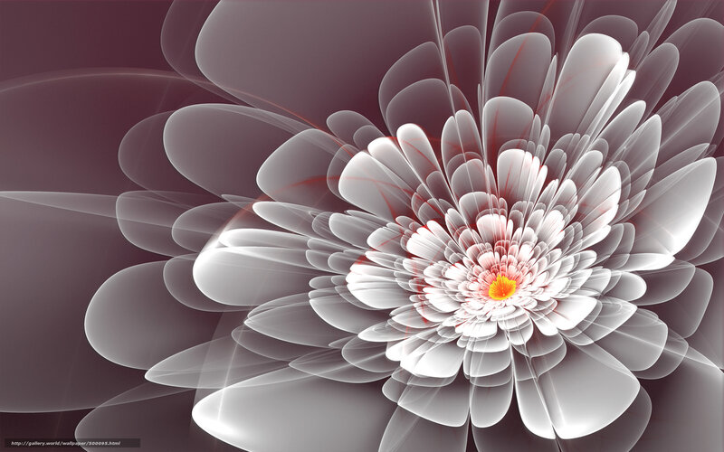 White Fractal Flower — Abstract