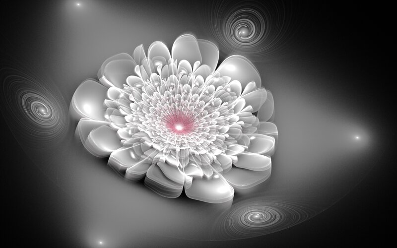 White Fractal Flower