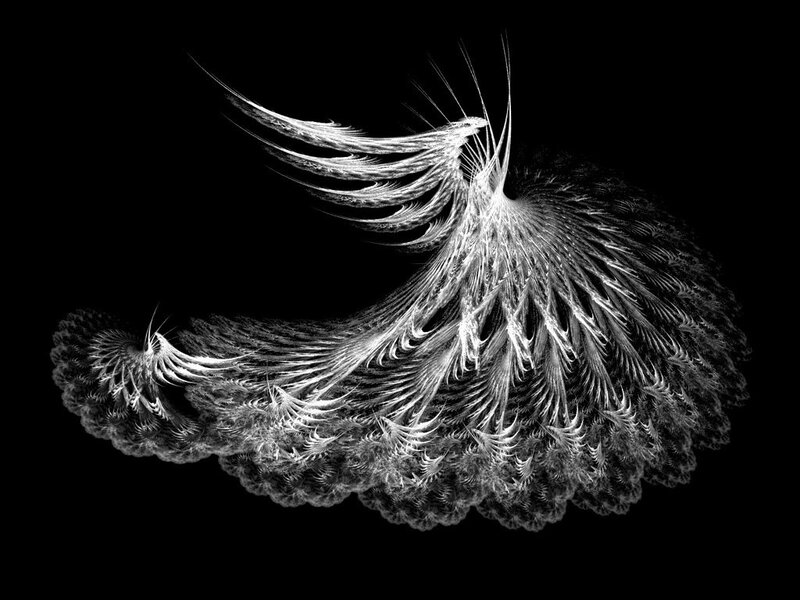 White Fractal Wings
