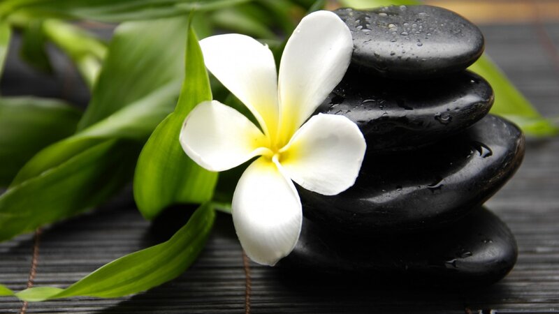 White Frangipani Flower — Black, Serene, Photograph, Black Stones