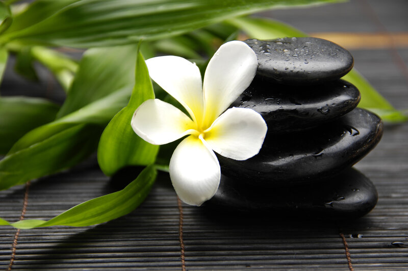 White Frangipani Flower — Black