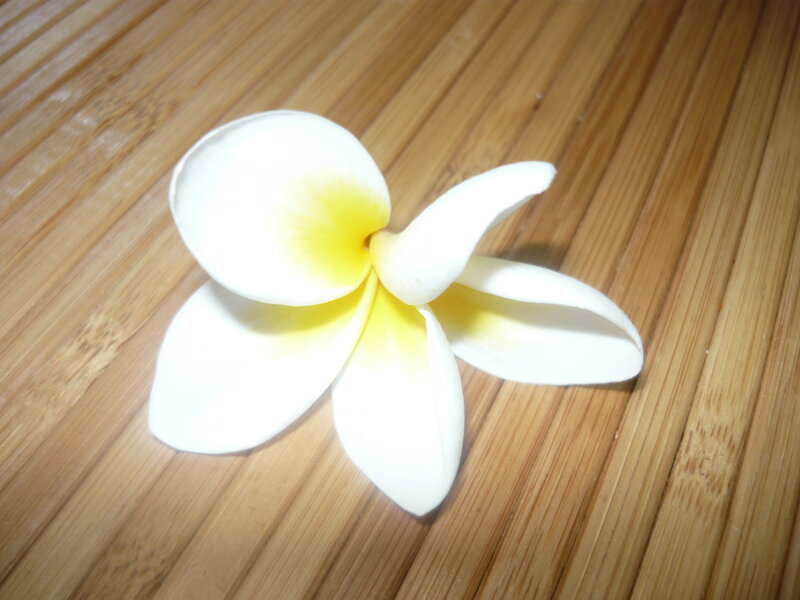 White Frangipani Flower — Calm, Photograph, Wood Surface