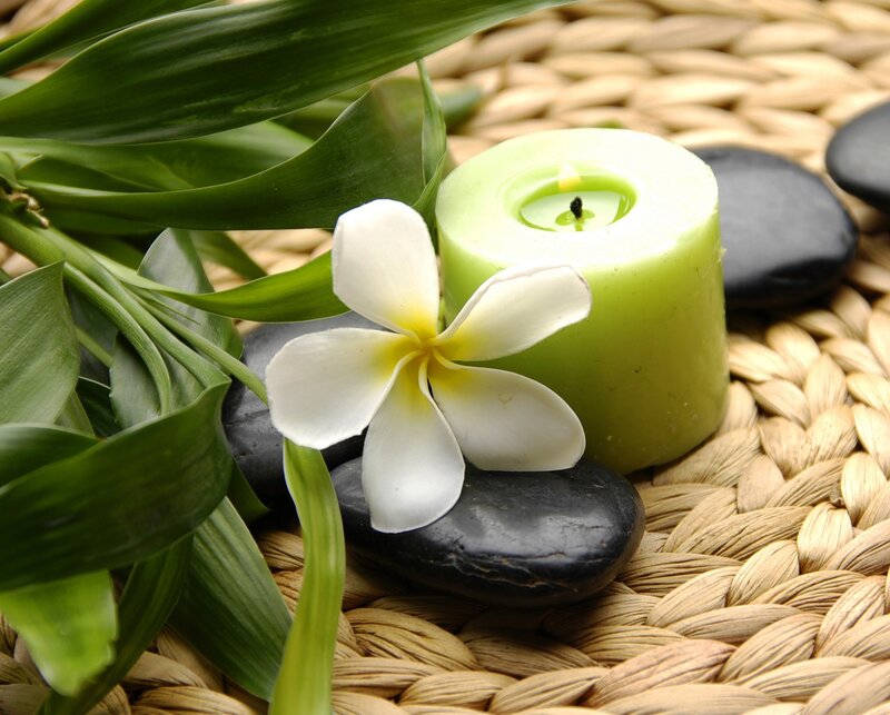 White Frangipani Flower — Green, Serene, Photograph