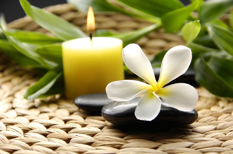 White Frangipani Flower — Yellow, Serene