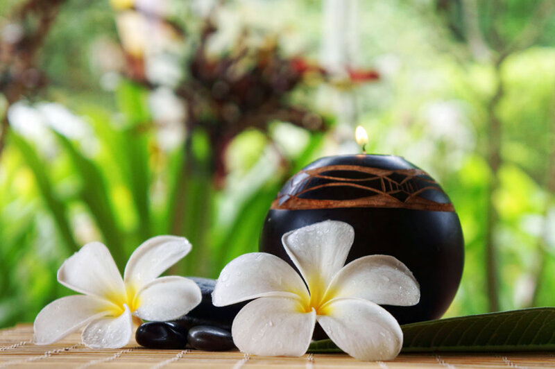 White Frangipani Flowers — Green, Serene