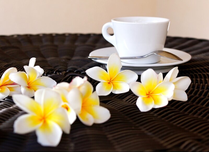 White Frangipani Flowers — Serene, Morning, Photograph, Coffee Cup