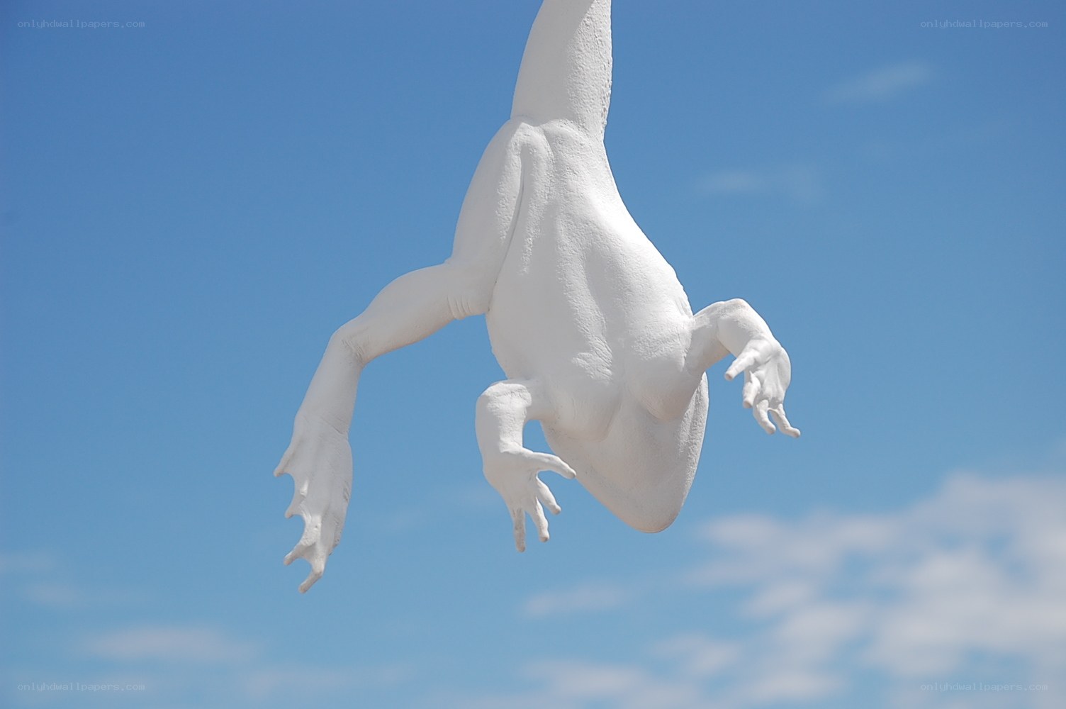 White frog sculpture against blue sky