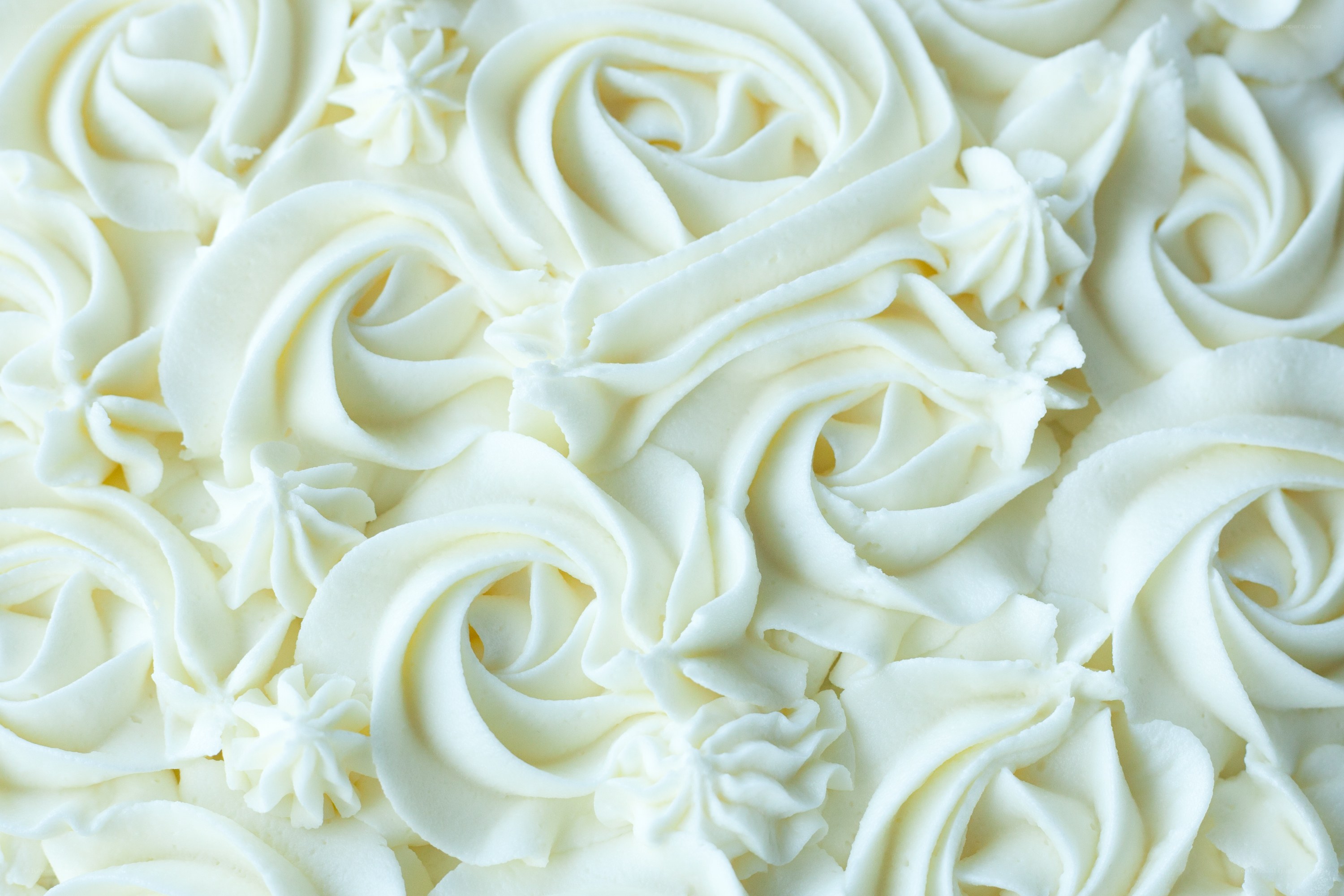 White frosting roses