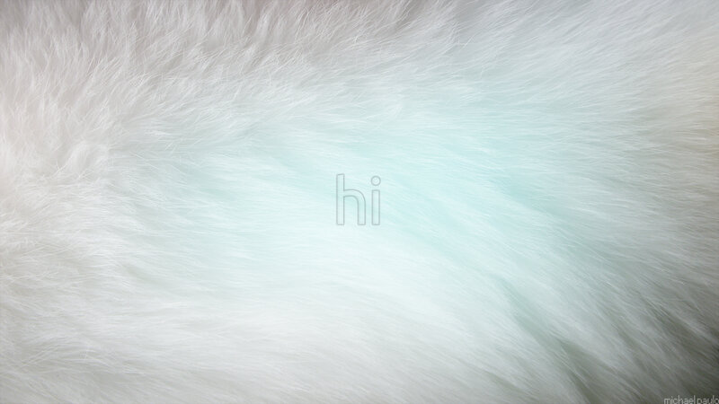 white fur texture background
