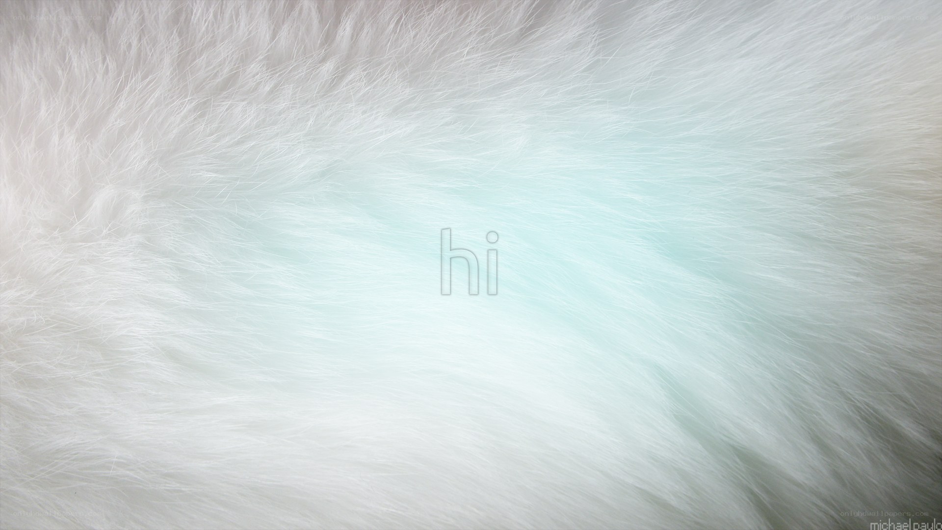 white fur texture background