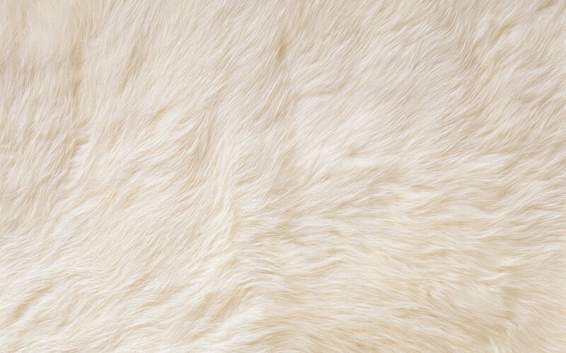 white fur texture