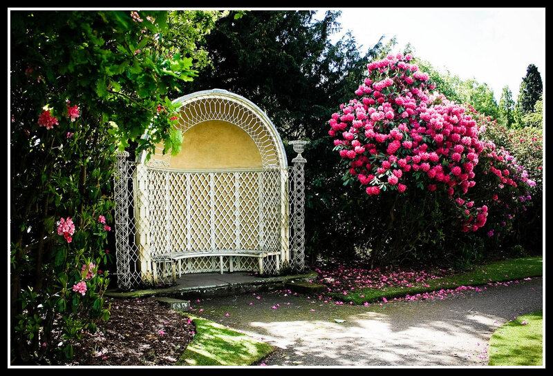 White Garden Arbor — Pink