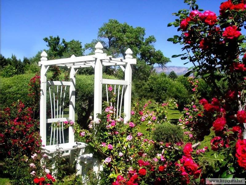 White Garden Arbor