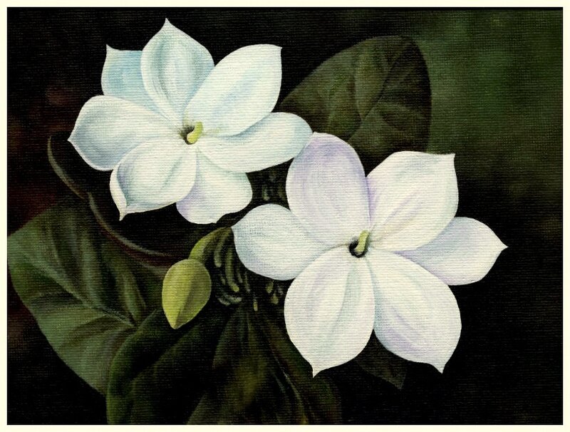 White gardenia flowers