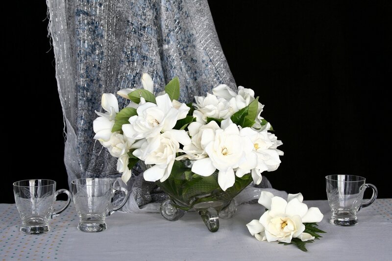 White Gardenia Flowers — Serene, Photograph, Glass Cups