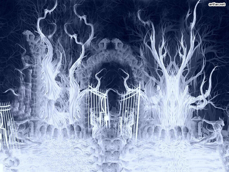 white gate in a dark forest