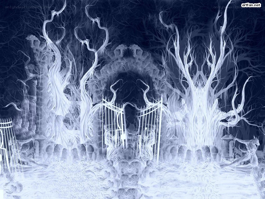 white gate in a dark forest