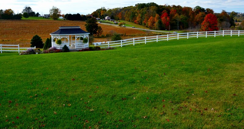 White Gazebo in Field — Green