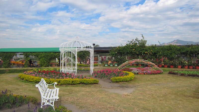 White Gazebo in Garden — Green, Serene, Afternoon, Photograph, Bench