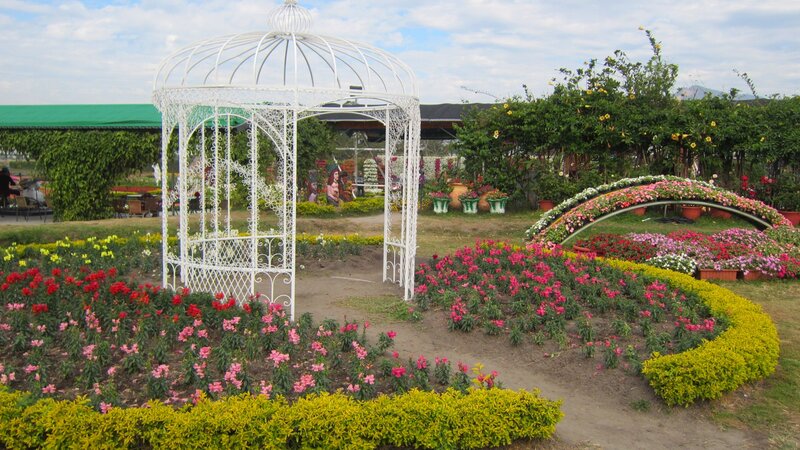 White Gazebo in Garden — Pink