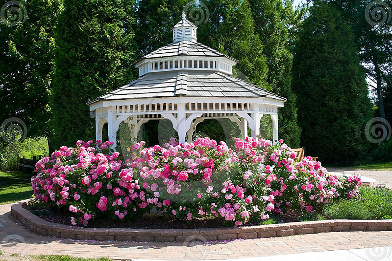 White Gazebo with Roses