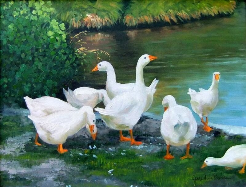 White Geese by River