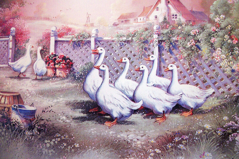 White Geese in Garden — Serene