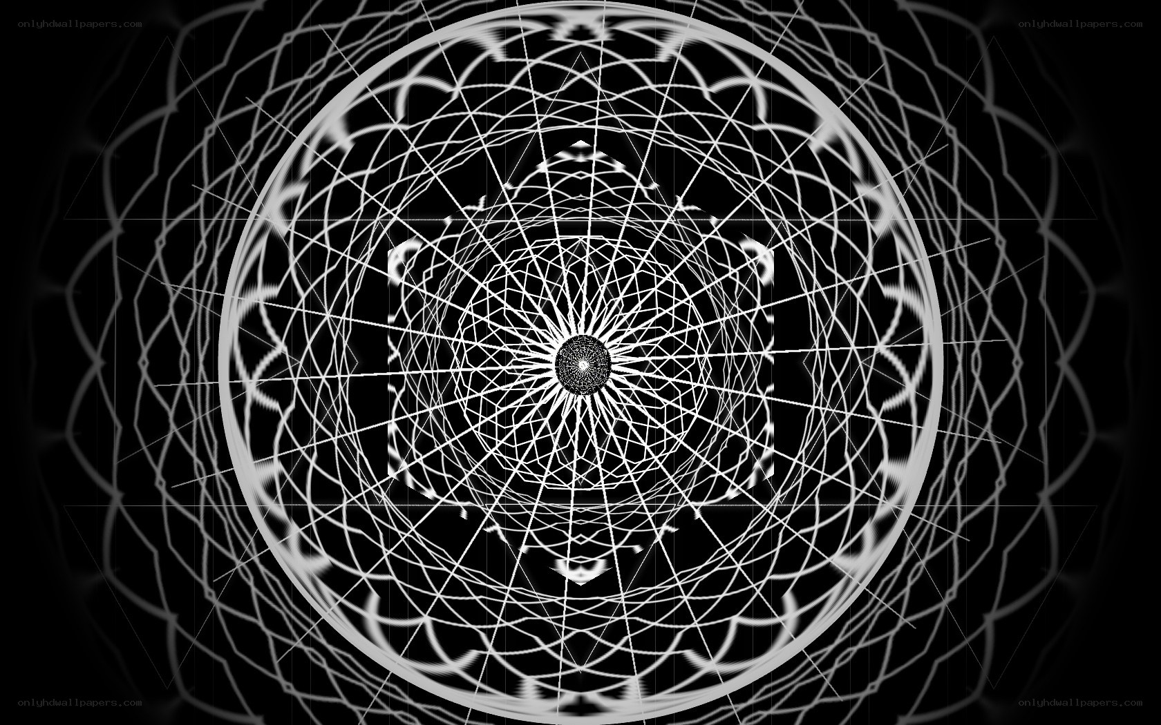 white geometric mandala pattern