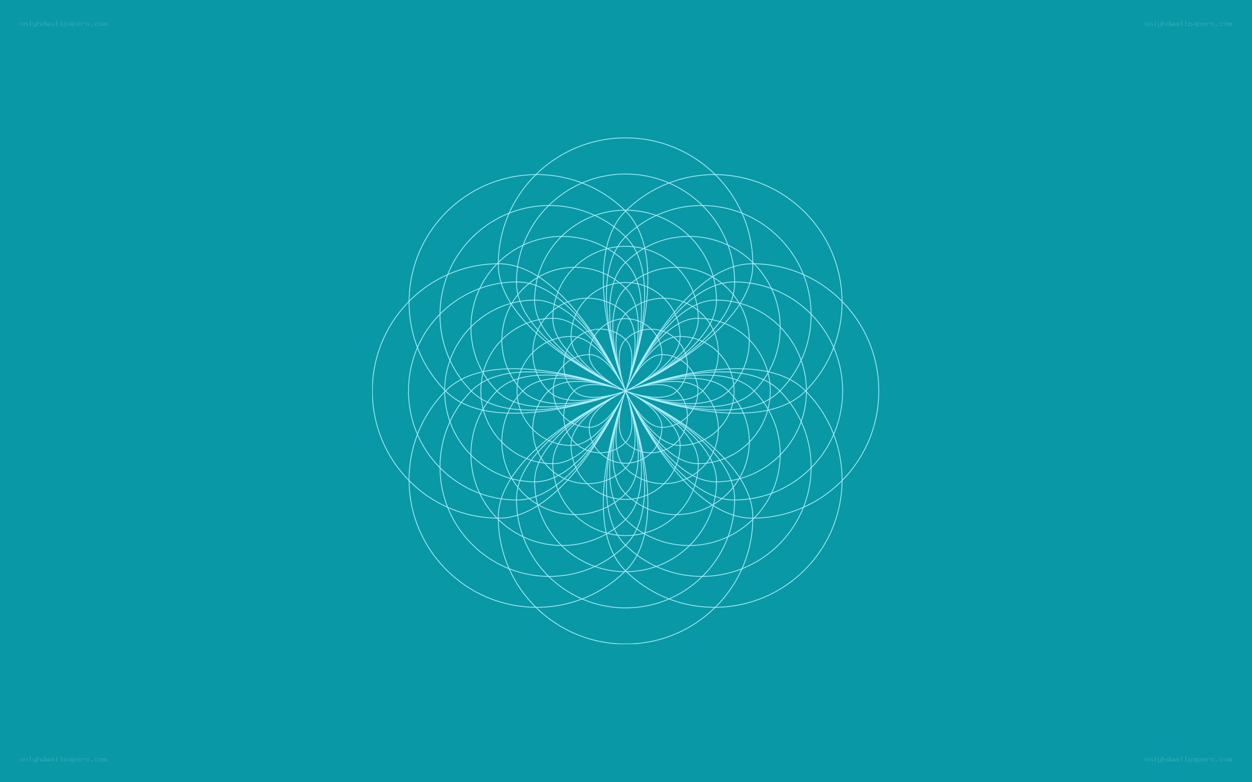 white geometric pattern on teal